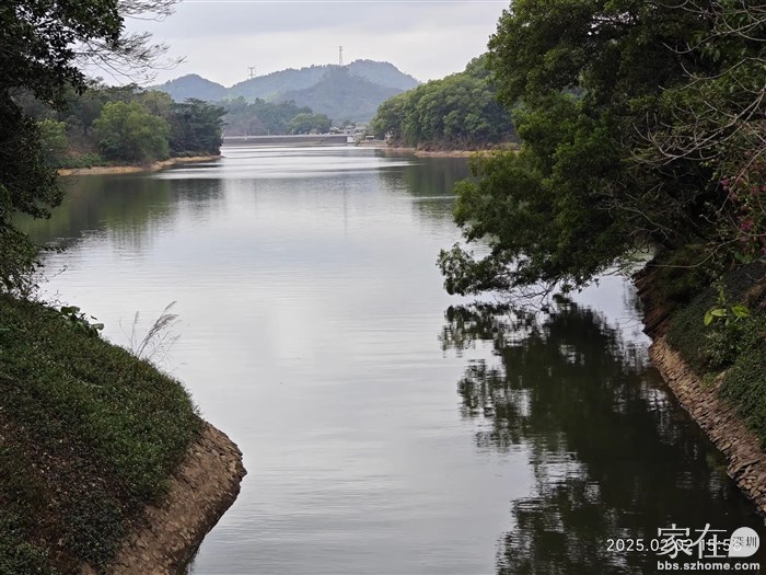红花湖的水面低了很多