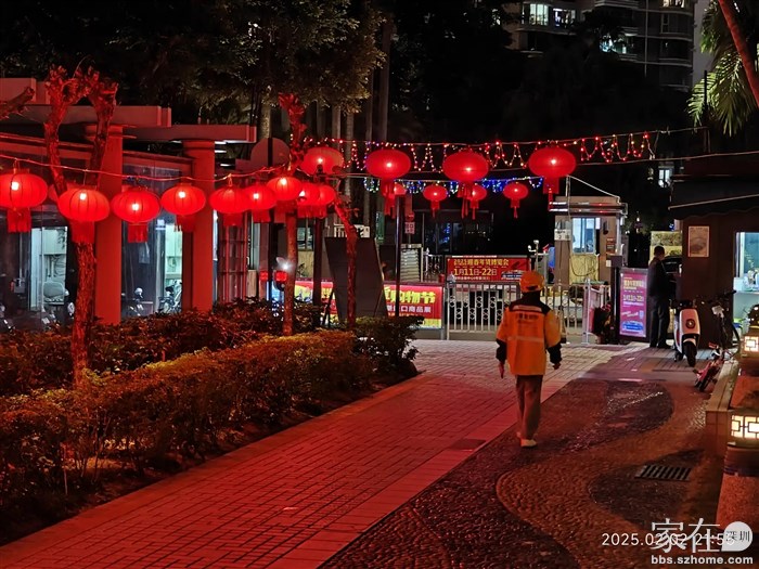 深圳的小区也挂上了灯笼挺喜庆的