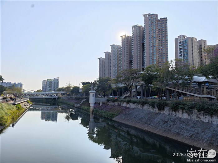 新洲河旁的本小区