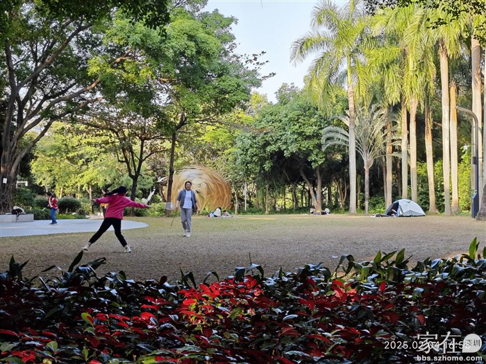 穿行过皇岗公园，这么好的气候人们都玩爽了。