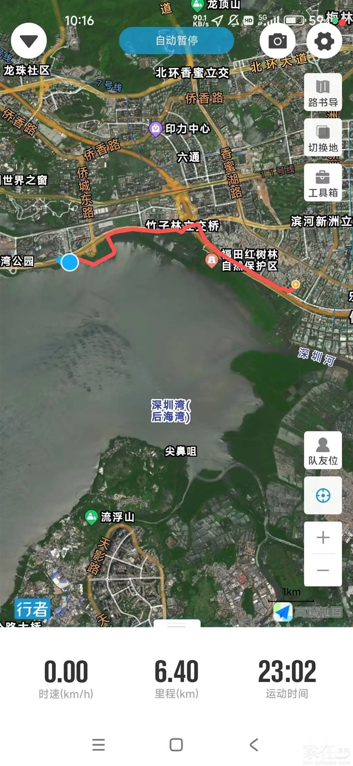 出门6公里来到深圳湾网红观鸟处