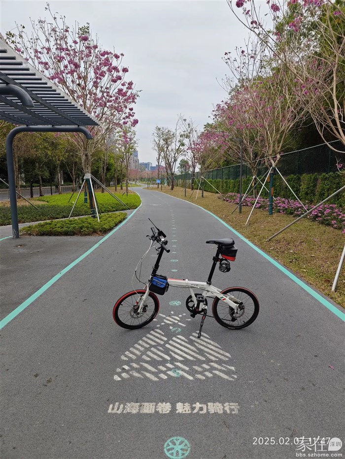 与兴海大道并行的山海连城绿道