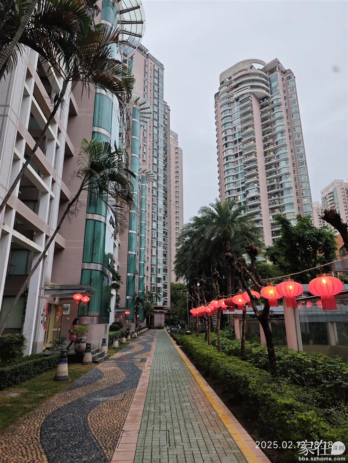 今天元宵，过了今晚小区这次灯笼就会撤了。