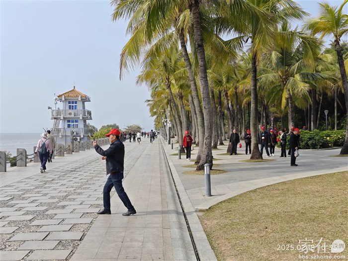 旅行社最喜欢带团来深圳湾，免费，游人也开心。