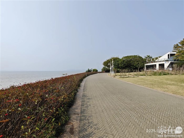 离网红地铁站没多远就有一个书吧，这有人经营的场所在深圳湾公园很难得，不过这距离是我徒步的开始，就没必要在此停留了。