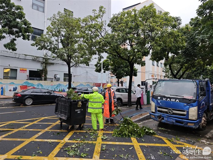 大范围的狂风暴雨到处都是需要清理的树枝