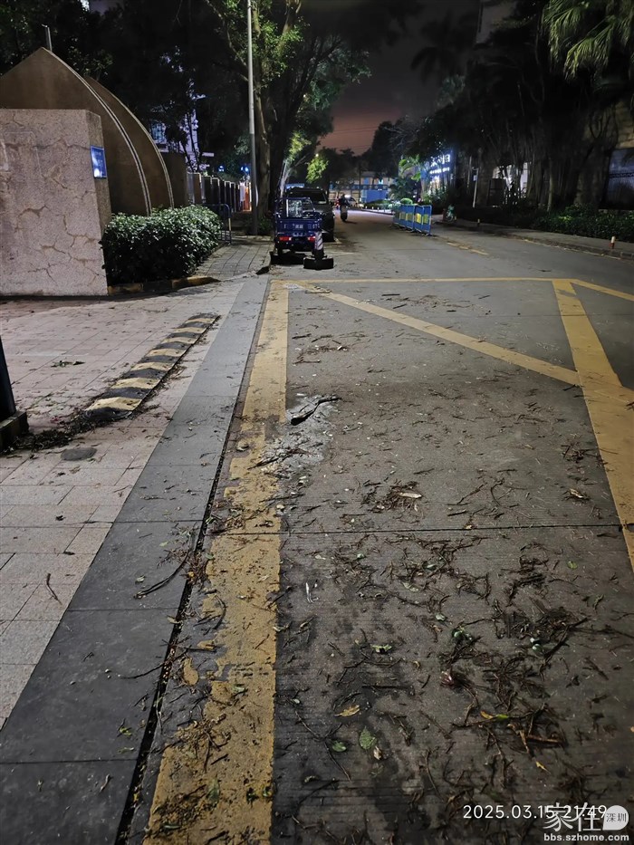 回到家这边也是被风吹的满地的树枝树叶