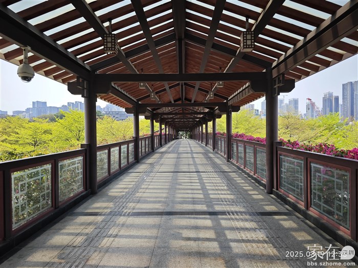 天桥都做的这么漂亮