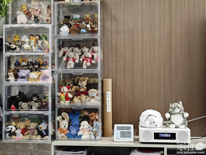 深圳这边也是公仔，管她呢，孩子自己的家，她爱咋整咋整。