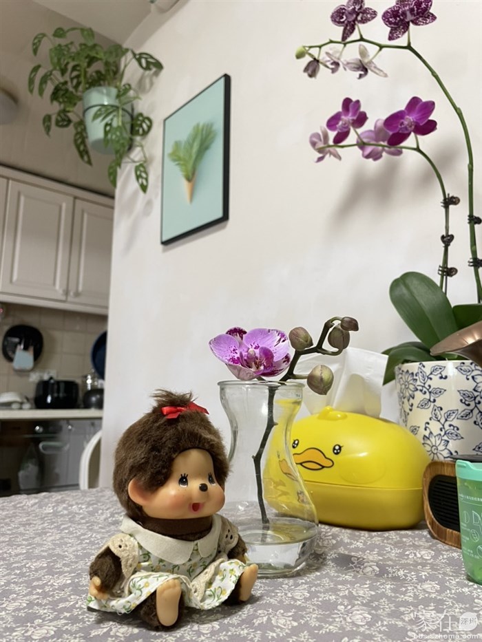 23年10月8号的我（新主人欣喜中把我摔断）