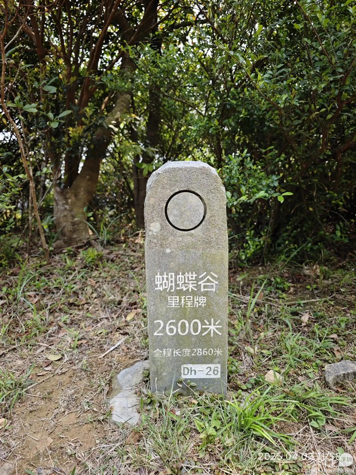 来到2600米这个位置到蝴蝶谷就己是一条平路，等于到了。