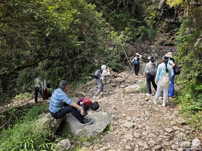 唯一遇到的这位男士也是带着一堆别人的老婆，感觉这也是工作。