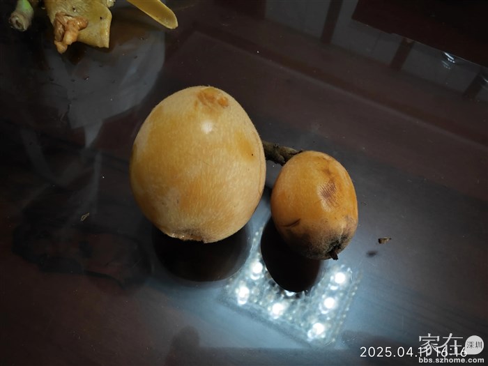 大的爽，小的超甜。