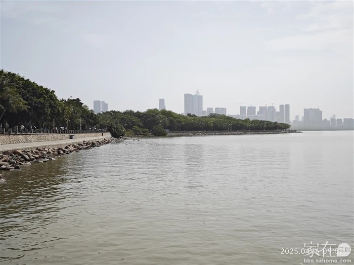 伴随着深圳湾海鸥的离去，游客也少了好多。