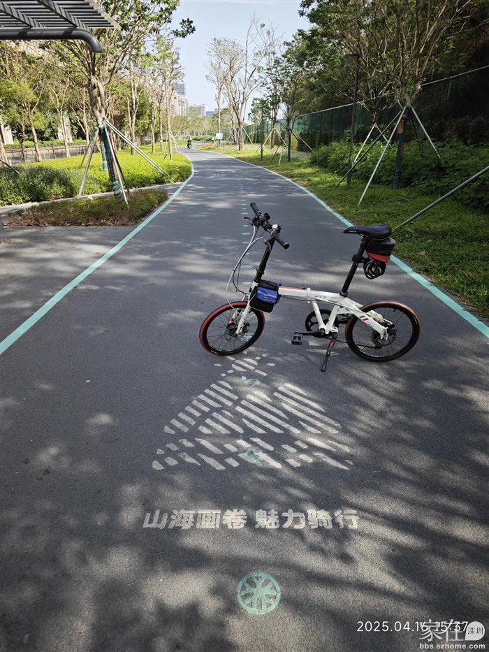 兴海大道这段的骑行道