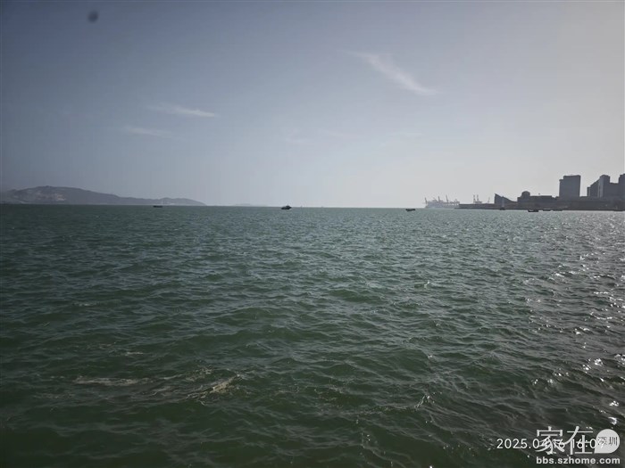 蛇口这边的海水比红树林那边好太多了