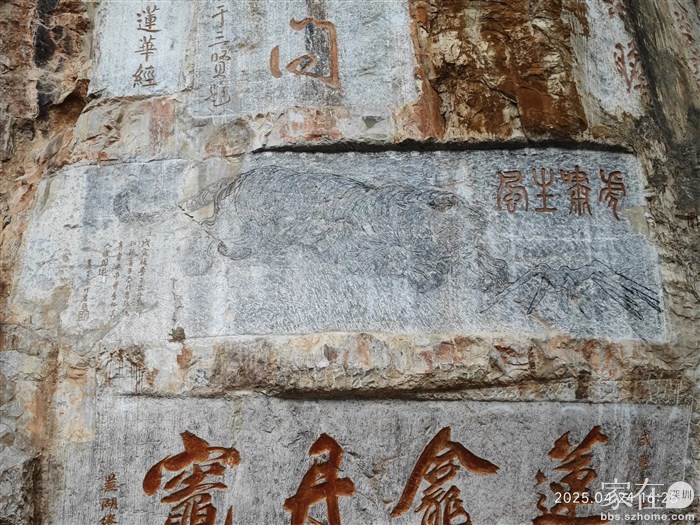 张大千哥哥抗战其间作画，猛虎扑富士山。