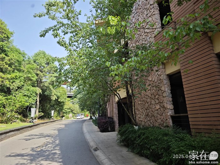 这条路在樱花开的季节一定很漂亮
