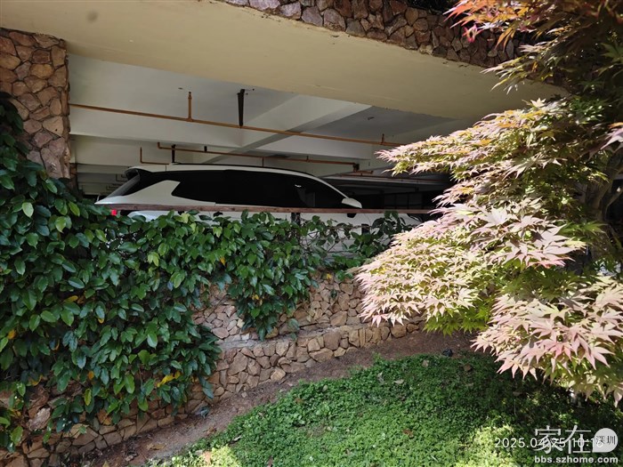 连车子都能停得这么舒服