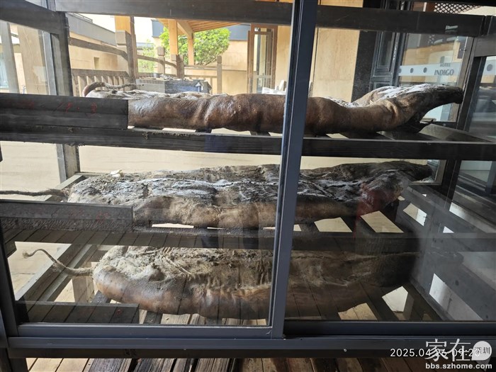 跟大理的生皮不太敢吃一样，摩梭人的猪膘肉也是不敢吃。