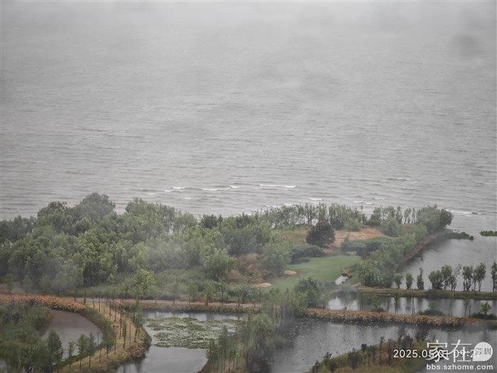 洱海上出现了白头浪，可想而知这风有多大。