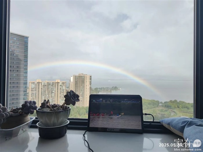 你下你的雨，我坐在窗前看直播也看彩虹。