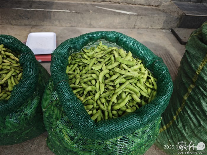 毛豆，喜欢用水煮熟了，一边对着窗外发呆一边吃他的感觉。