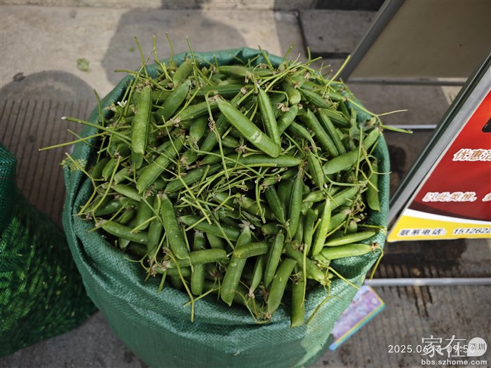 大理人最喜欢吃的豌豆，自己不会做从来没买过。