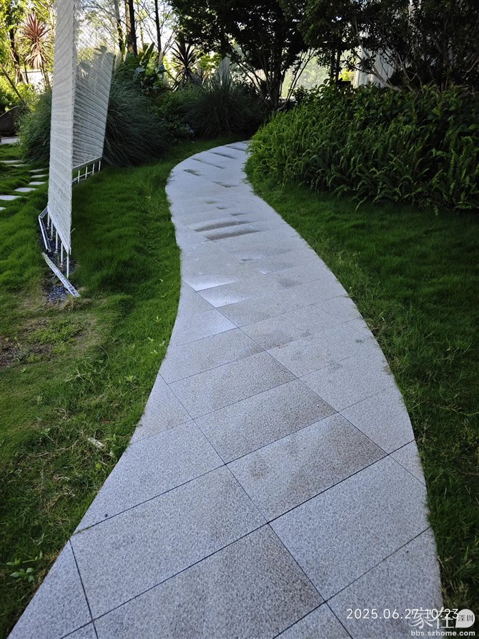 下了一夜的雨，小区路都还没干。