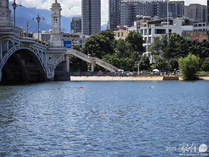 还是有个别人不老实非要游过桥的北面这边。