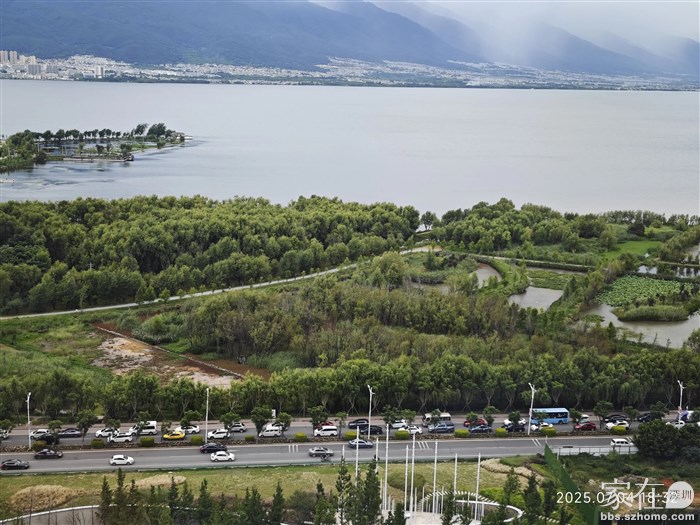 还是回家看人家堵车好了