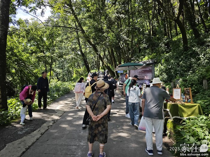 徒步上山往寂照庵的人流