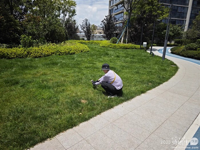 领导看见什么了又拍