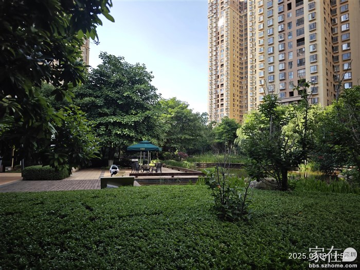 老小区还是这么漂亮