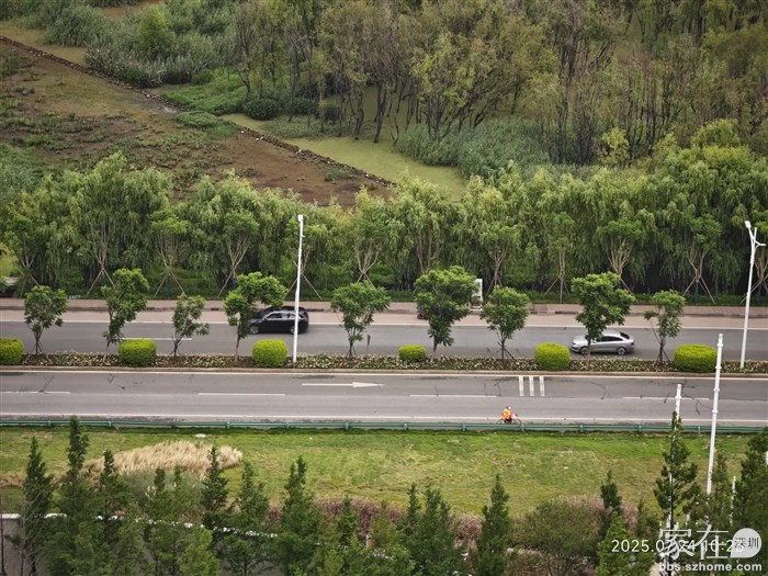 我这没下，领导照例每天一早到楼下小区徒步1万步还没回来。