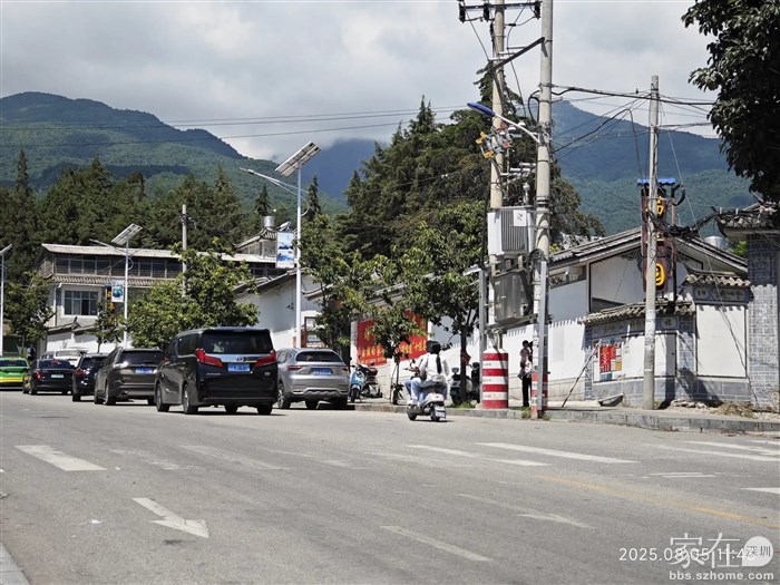 上山车的龙尾排到了瑞丰园