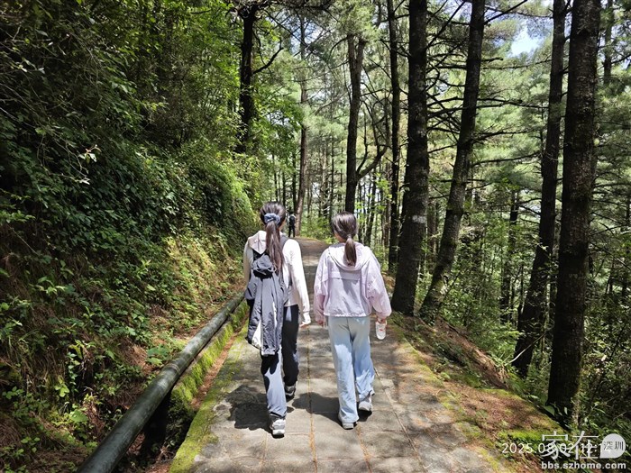 走到玉带路就开始是苍山半腰上的平路，在上面走着是超级舒服的享受。