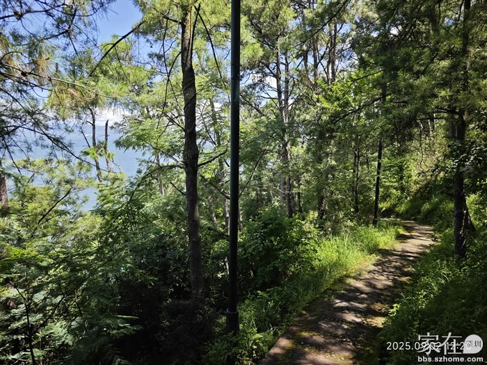 团山这台价走的舒服