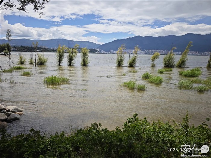 涨水后原来拍婚纱的水岸用不了了