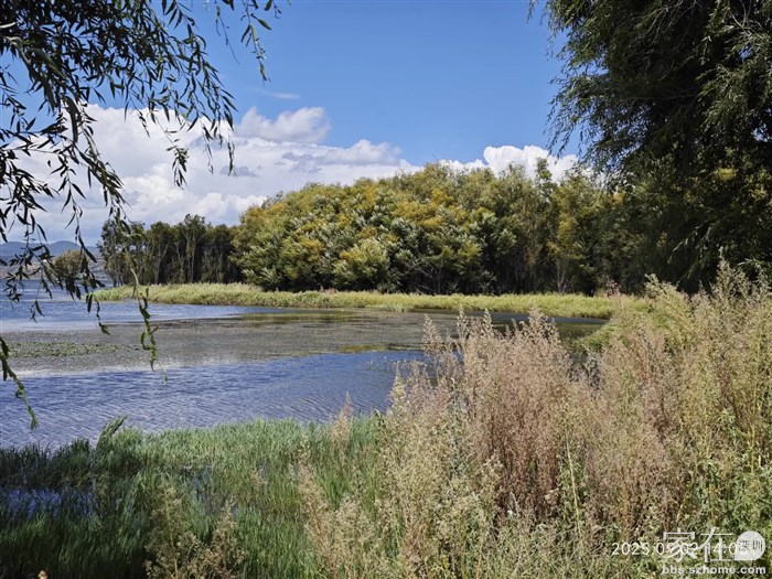 因为水涨己经完全走不过去了