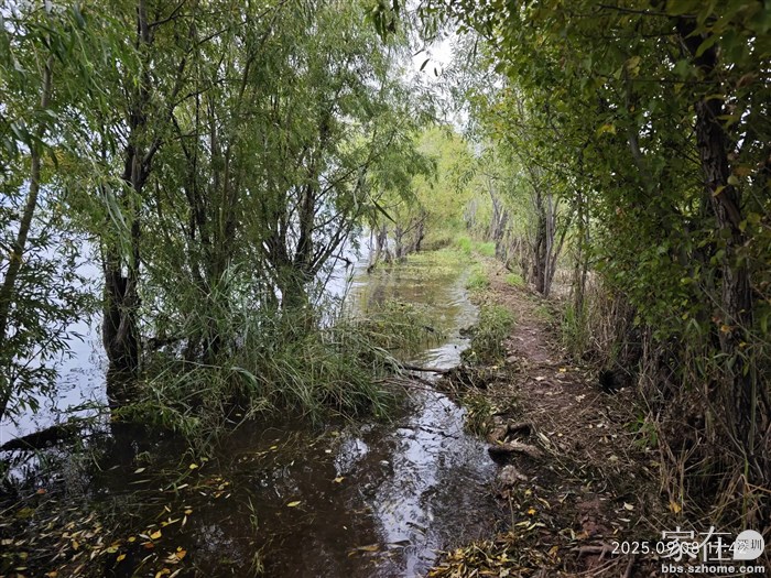 野湿地有点不好，水一涨上来原来能去的地方被水淹了就去不了了。