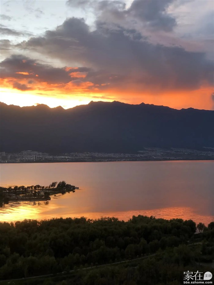 领导在家拍的照片，此时我还是挖色。