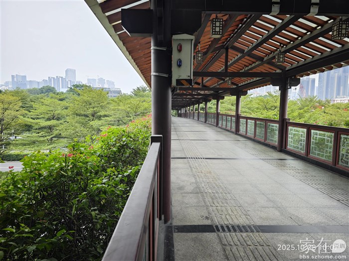 下车后需通过人行天桥横过深南大道，很漂亮的天桥。