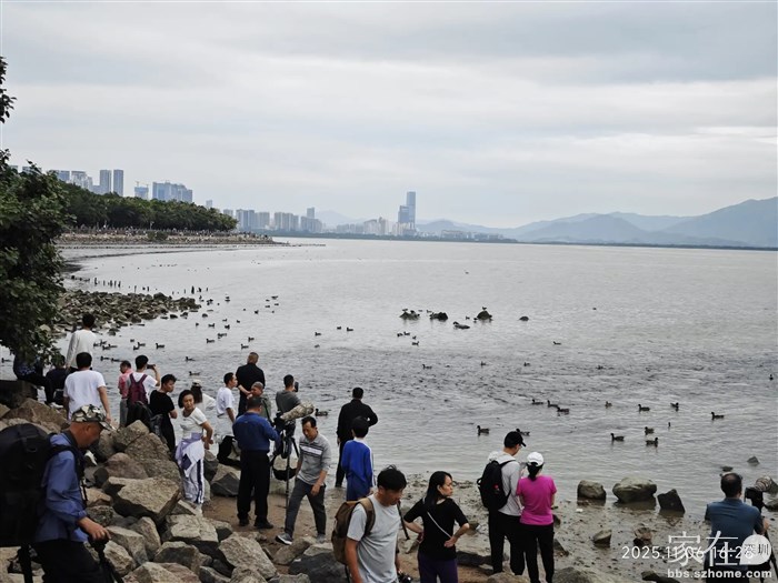 看来海鸥还没到