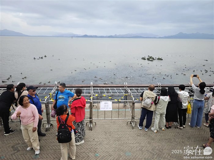 这个网红点被这样拦住，游人靠近不了，这样就欣赏不了出水口的那些乌泱乌泱的乌头鱼了。
