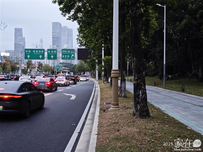 滨海大道上的车流
