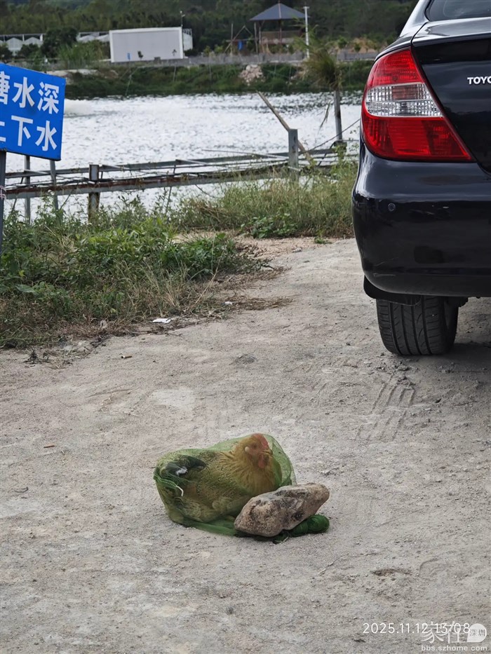 这只鸡就是我的了