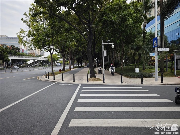左侧是非机动车道，右侧是人行道，可这些电鸡车，呵呵。