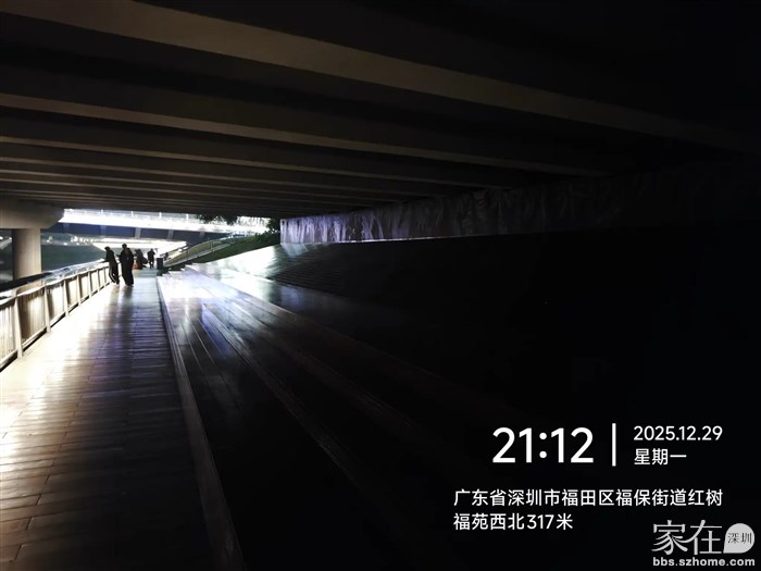 上面就是广深高速，桥下倒是露宿的好地方。