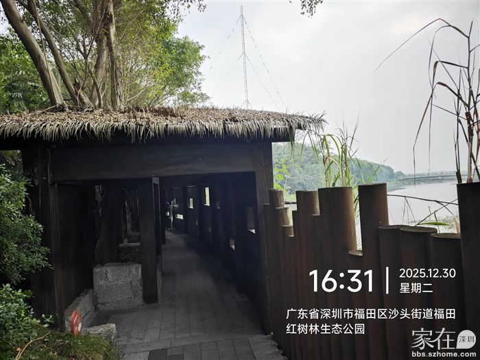 福田红树林公园还设了个观鸟屋，可是这里哪有鸟啊，候鸟们都跑到深圳湾公园地铁站跟游人会合了。